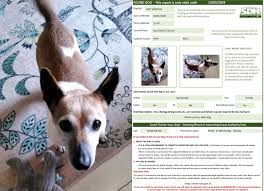 Image result for Tan 2024 Fleet