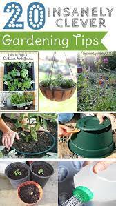 20 Insanely Genius Gardening Hacks For Beginners Source By Deb2traynnor In 2021 Gardening For Beginners Gardening Tips Aquaponics Indoor
