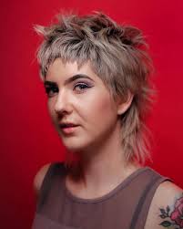 Denise Whitehead (Hairfollicle)