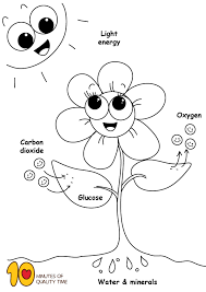 Photosynthesis Coloring Page Photosynthesis Photosynthesis Activities 3rd Grade Art Lesson
