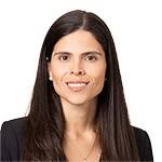 Norton Rose Fulbright Projects Team