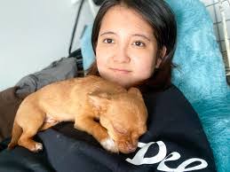 Lakesha Pringle's Instagram, Twitter & Facebook