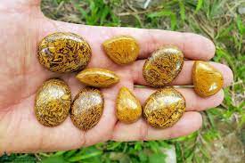 Coquina Jasper Script Stones New Update 2022 Great Video