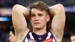 AFL 2025 season reviews: Looking at the form of every team this season;  back-to-back premiers Brisbane Lions, runners-up Geelong Cats, while  Adelaide Crows and Gold Coast Suns both made giant strides in