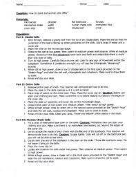Label each structure of the plant and animal cell with its description and function in the provided tables. Comparing Plant Animal Cells Lab By Lesson Universe Tpt