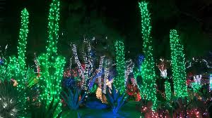 Photos, stories and research about midcentury architecture in phoenix, arizona. Is It Illegal In Arizona To Decorate A Saguaro Cactus 12news Com