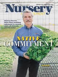 Image result for Dicliptera transvaalensis