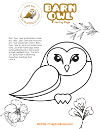 Jim richmond/flickr/cc by 2.0 owls are some of the most fascinating and mysterious raptors in the world. Barn Owl Coloring Page Bird Watching Academy