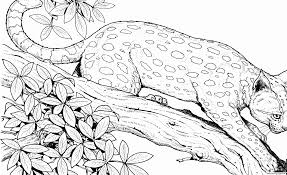 Pin On Colouring Pages