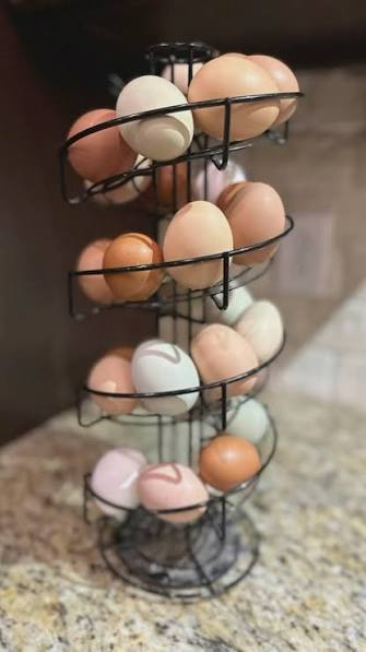 سرویس بشقاب سرامیکی