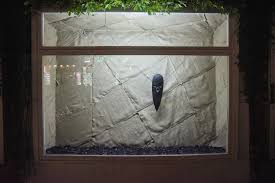 Bildergebnis für Michael Sayles