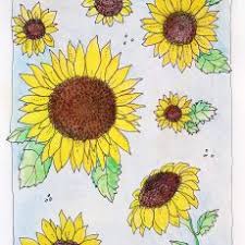 Sunflower Coloring Page In 2020 Sunflower Coloring Pages Jar Gifts Coloring Pages