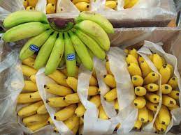Maybe you would like to learn more about one of these? Jenis Pisang Unik Ini Ditemukan Di Papua