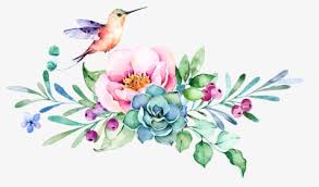 Download Hummingbird Png Images Free Transparent Hummingbird Download Kindpng
