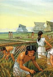 8 000bc The First Animals Plants Are Domesticated In The First Agricultural Revolution During The Neolithic Or Neolithic Revolution Yayoi Period Neolithic
