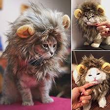 Rameng Kostum Lowe Fur Kleine Hunde Katzen Hut Mahne Kostum Mane Haar Perucke Amazon De Haustier Hund Halloween Kostum Katze Kleine Hunde