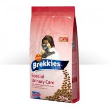 Animal Gr On Line Petshop Pet Shop Your Pet Special