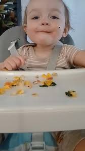 Need healthy breakfast ideas for my 12 month old. We started baby led  weaning pretty late because I was terrified of choking but he wouldn't eat  baby food. He won't eat oatmeal,