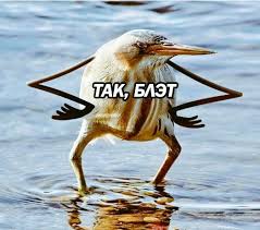images?q=tbn:ANd9GcQHiolJS4Ekb6N84uw_FvC