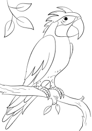 Dibujo Loro Para Colorear