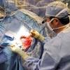 The average salary for a medical oncologist and hematologist is $259,758 in united states. Https Encrypted Tbn0 Gstatic Com Images Q Tbn And9gcq4i6zicgjszsrwubi38wat6gux G5ion4c8riyfjqyck42xw1i Usqp Cau