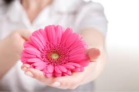 ‫دراسة تخصص التجميل النسائي gynecological cosmetic - Challenge Academy‬‎
