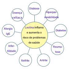 Hemaglutinina, una lectina vista en posición lateral. Efeitos Das Lectinas Na Saude Andreia Torres