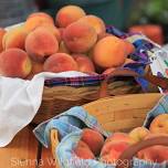 Peach Fest | Day Two