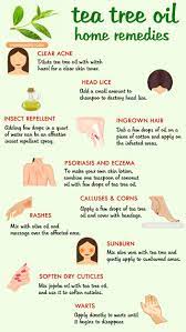 Tea Tree Oil Is One Of The Most Beneficial Oil That Everybody Should Stock It Up In Their Beauty Tea Tree Oil Benefits Tea Tree Oil Uses Tea Tree Oil
