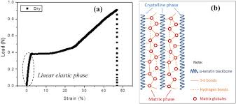 Автовоспроизведение если функция включена, то следующий ролик. Tensile Relaxation Study Of Camel Hair Fiber At Elastic Stretching Region Analytical Model And Experiment Sciencedirect