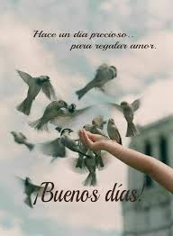 No importa lo nublado y lluvioso que este el día, pero cuando veo tu dulce mirar, iluminas mi vida. Mirexius Pa Twitter Buen Dia Hermosa Gisela Feliz Sabado Lleno De Momentos Positivos E Inolvidables Y Colmado De Bendiciones Para Ti Tu Hermosa Familia Besos Https T Co 4oogx3svnt