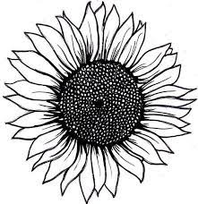 Check spelling or type a new query. Pin On Drawings