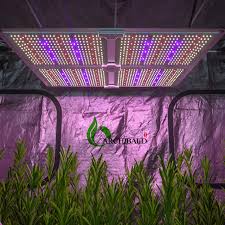Check spelling or type a new query. China Castnoo Grow Light Manufacturers And Factory Suppliers Archibald
