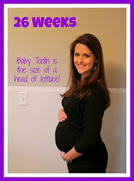 Your baby is 14 inches long this week and weighs 1.7 pounds. 26 Weeks Pregnant Baby Bump Sweet Tooth Sweet Life