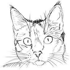 More than 600 free online coloring pages for kids: Download Hd Cat Line Drawing Cat Head Coloring Page Transparent Png Image Nicepng Com