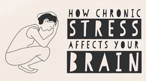 Image result for chronic stress
