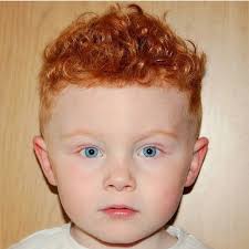 Toddler boy short undercut hairstyles. Toddler Boys Short Curly Hair Novocom Top