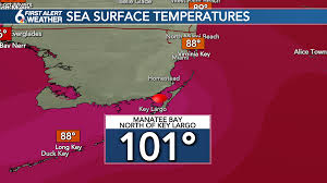 Lido Key Ocean Water Temperature Today | Fl, United States Temp