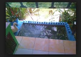 Membantu menghitung bahan untuk beton. Cara Membuat Kolam Ikan Nila Dari Dasar
