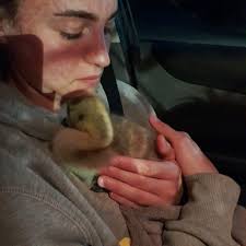 Made it to the top of Goatfell