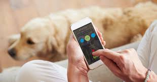 We did not find results for: Studiu Dispozitiv Care Permite MÄƒsurarea Tensiunii Arteriale Printr O MetodÄƒ NouÄƒ FÄƒrÄƒ ManÈ™etÄƒ Raportul De GardÄƒ