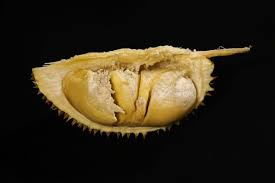 Selain menggunakan selotip, anda juga bisa membungkus makanan dengan aluminum foil beberapa lapis dengan erat agar tidak ada aroma dari dalam wadah yang keluar. 5 Cara Simpan Durian Agar Awet Untuk Oleh Oleh Dari Medan