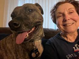 Cheryl Bird: PLAYBOWS AND MEOWS