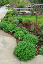 Maybe you would like to learn more about one of these? Perennials The Cultivator