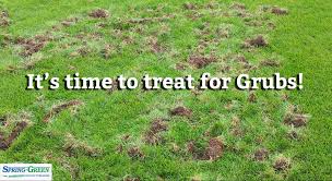 Check spelling or type a new query. Grub Control It S Time To Treat Grubs On Your Lawn