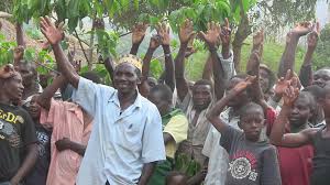 Image result for Monanthotaxis trichantha