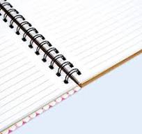 Custom Wire-O PVC Cover Diary Spiral Binding Notebook ...