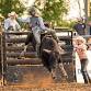Big Bend Stampede Featuring Next Level Pro-Bull Riding