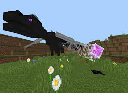 If you get too close to dragon's mouth, he bites you with. Tameable Ender Dragon Minecraft Addon