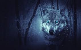 So good you'll howl at the moon. 30 4k Ultra Hd Wolf Wallpapers Background Images